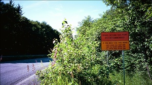9907 alaska1img008.jpg